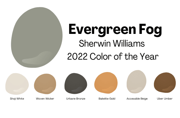 رنگ Evergreen Fog از شروین ویلیامز
