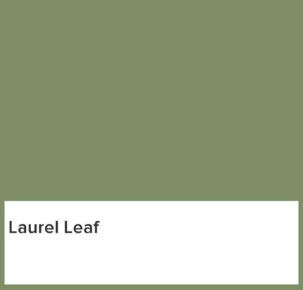 رنگ Laurel Leaf به انتخاب برند Better Homes & Gardens